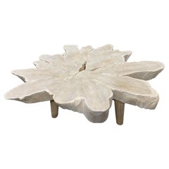 Andrianna Shamaris Amorphous Bleached Teak Wood Organic Coffee Table