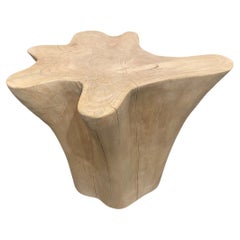 Andrianna Shamaris Amorphous Bleached Teak Wood Side Table or Pedestal
