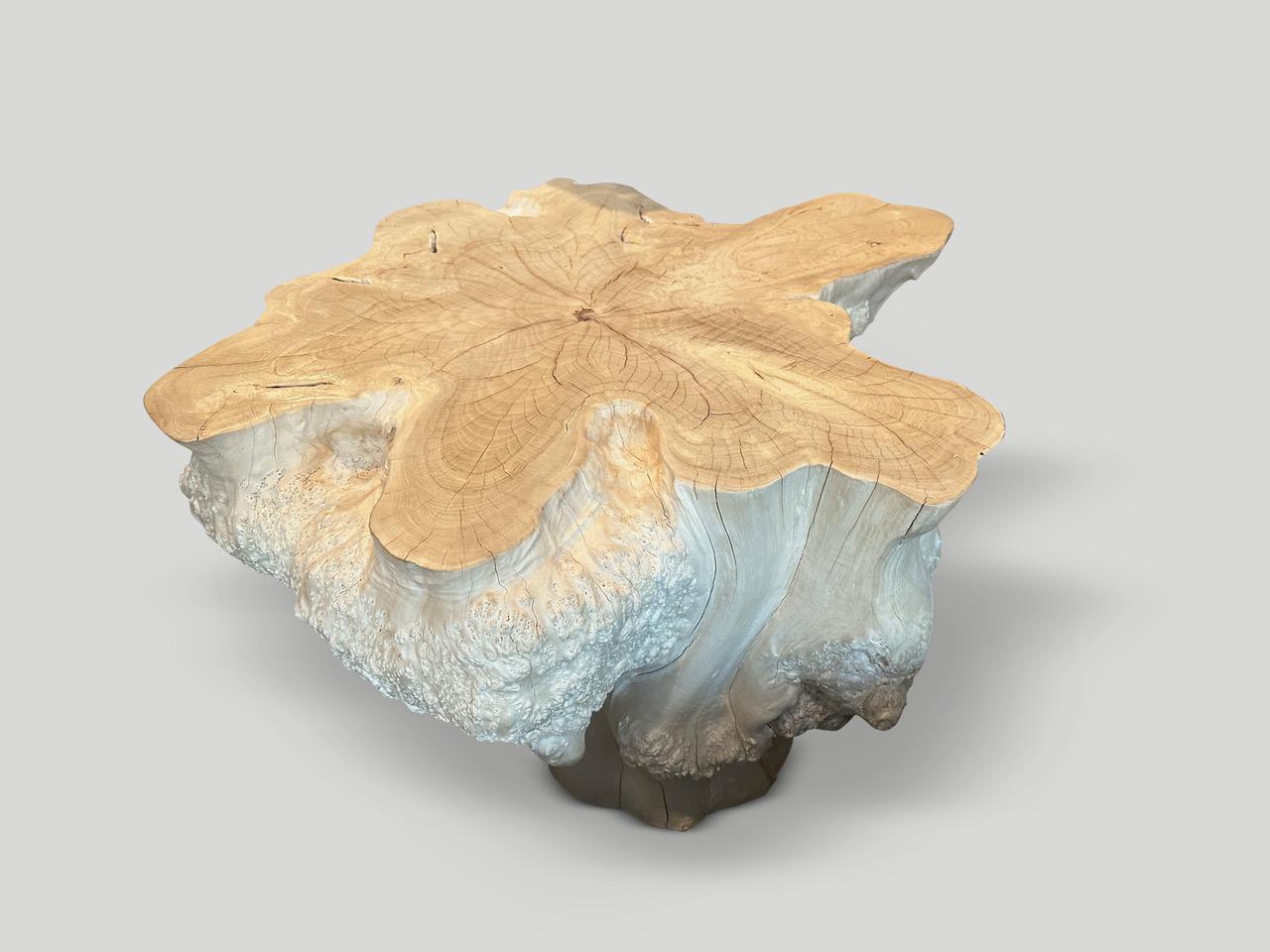 Organic Modern Andrianna Shamaris Amorphous Bleached Teak Wood Table