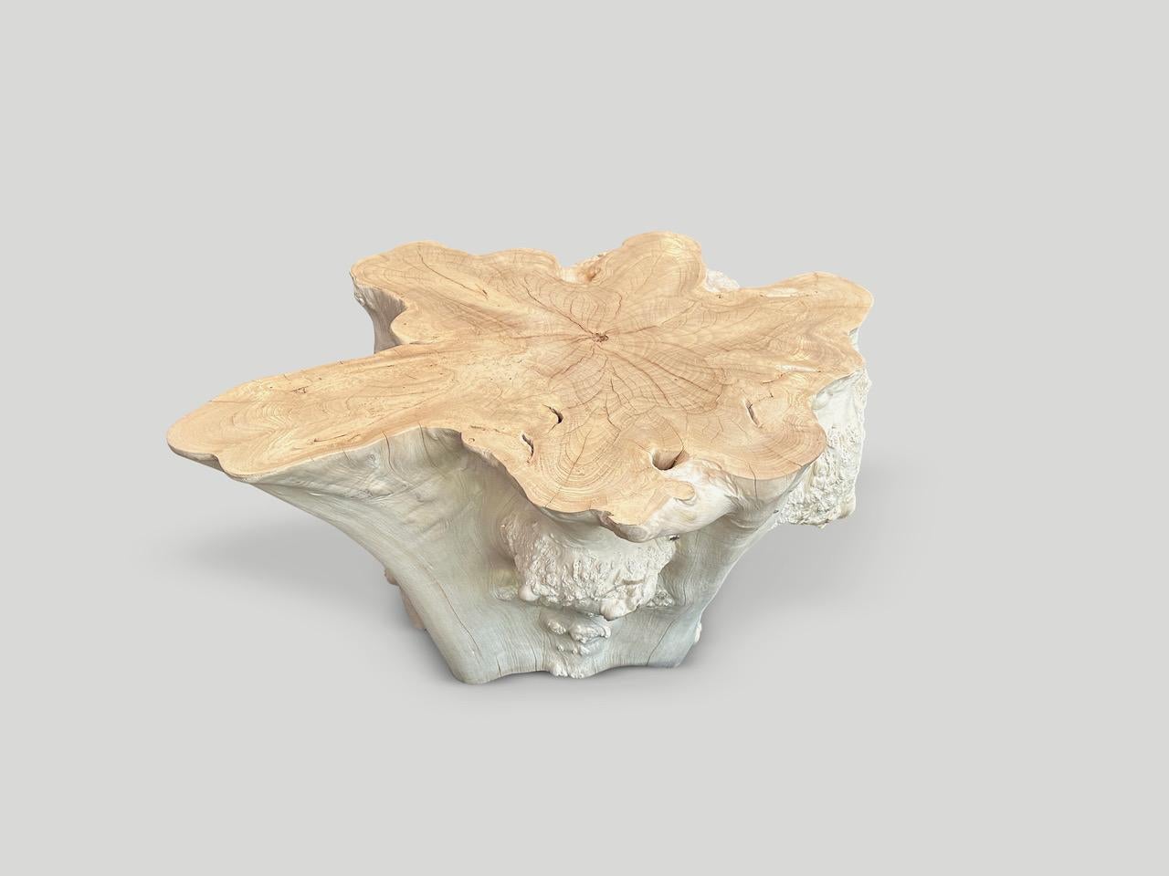 Andrianna Shamaris Amorphous Bleached Teak Wood Table In Excellent Condition In New York, NY