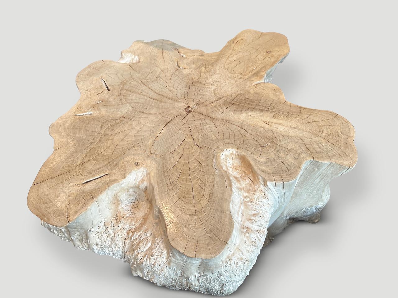 Contemporary Andrianna Shamaris Amorphous Bleached Teak Wood Table