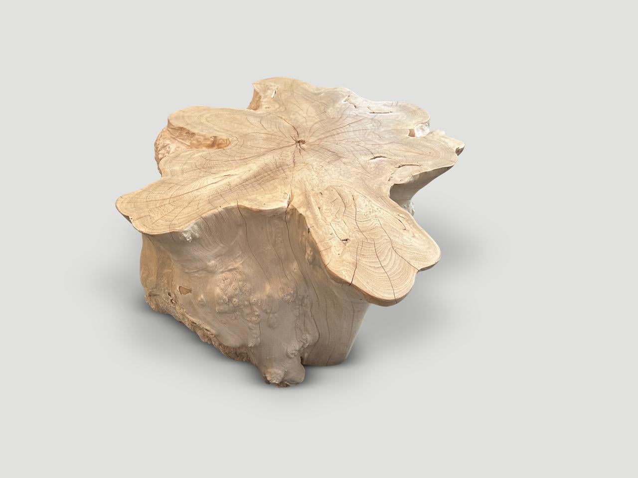 Andrianna Shamaris Amorphous Bleached Teak Wood Table 1