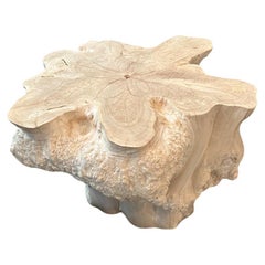 Andrianna Shamaris Amorphous Bleached Teak Wood Table