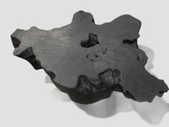 Andrianna Shamaris Amorphous Charred Coffee Table