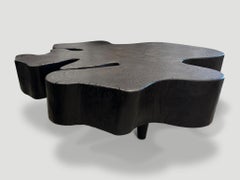 Andrianna Shamaris Amorphous Charred Coffee Table