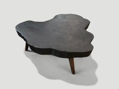 Andrianna Shamaris Amorphous Charred Coffee Table