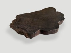 Andrianna Shamaris Amorphous Charred Coffee Table