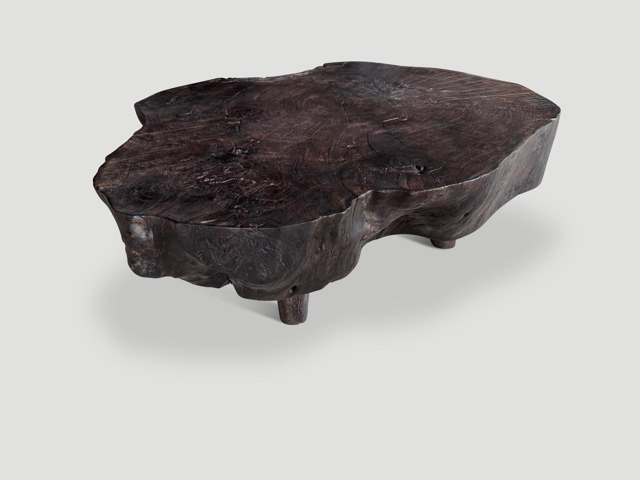 Impressive reclaimed seven inch slab mango root coffee table, floating on minimalist cone legs. Charred, sanded and sealed revealing the beautiful wood grain. 

The Triple Burnt Collection represents a unique line of modern furniture made from solid