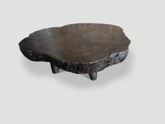 Andrianna Shamaris Amorphous Charred Coffee Table