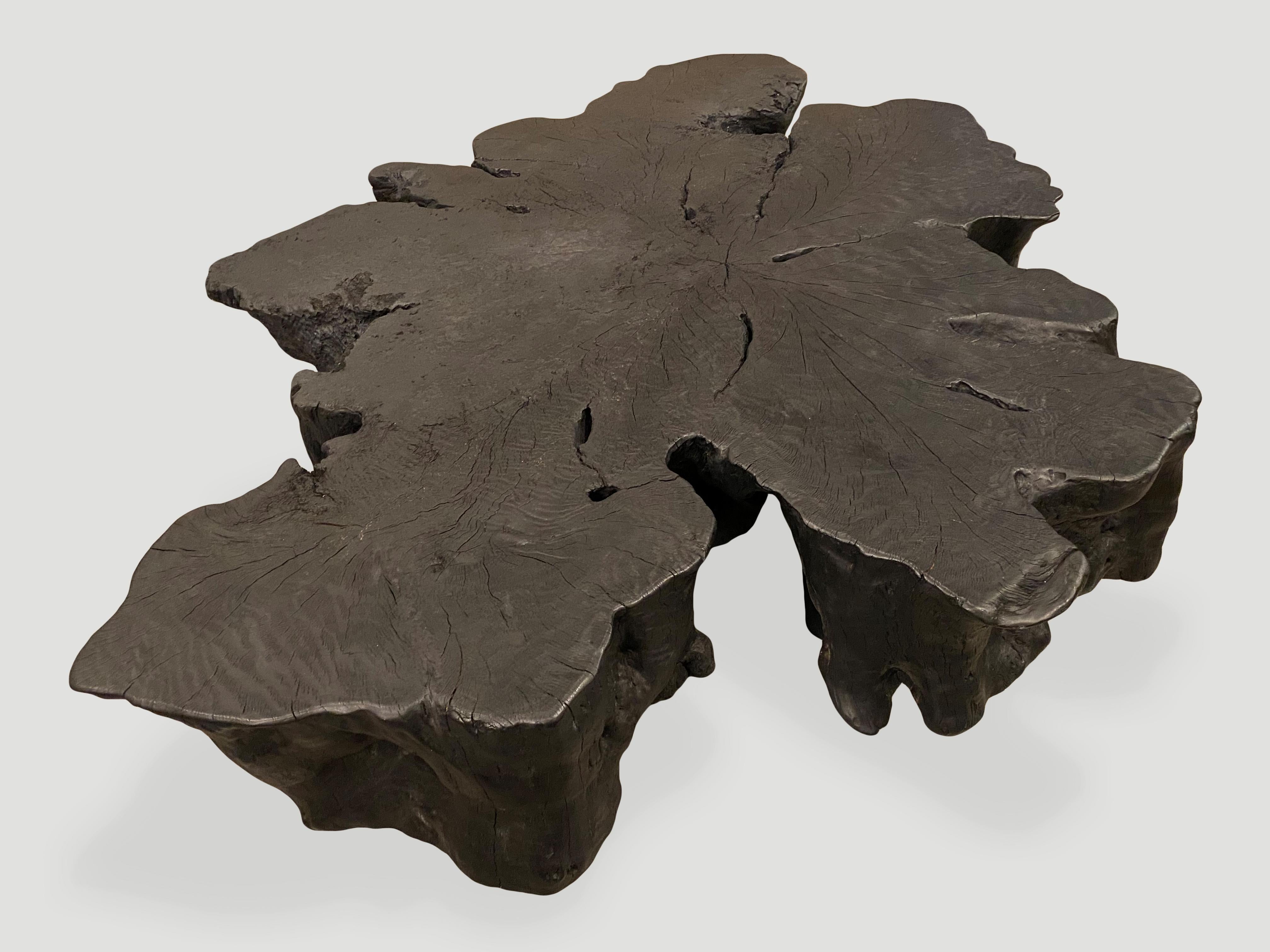 Contemporary Andrianna Shamaris Amorphous Charred Coffee Table For Sale