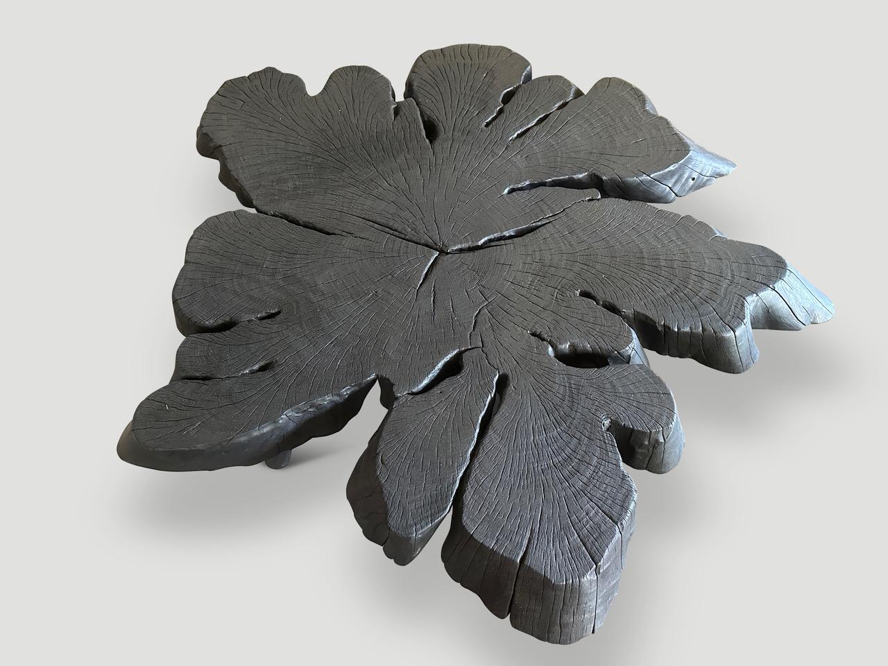 Contemporary Andrianna Shamaris Amorphous Charred Coffee Table