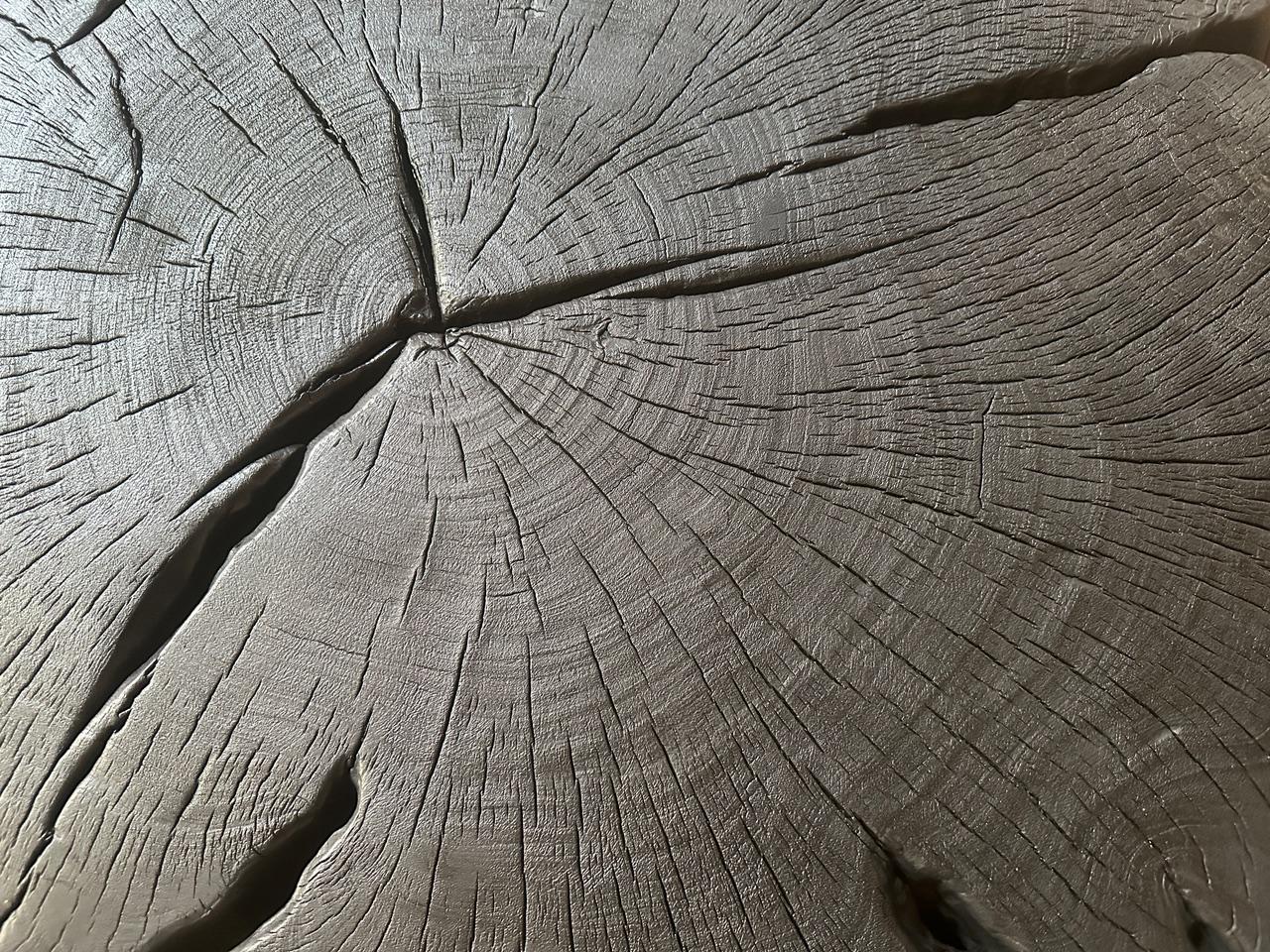 Wood Andrianna Shamaris Amorphous Charred Coffee Table