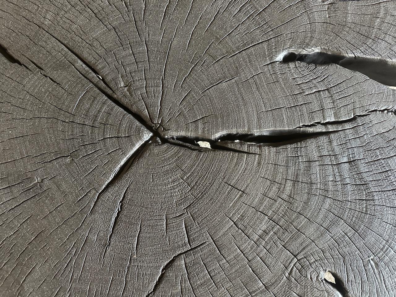 Andrianna Shamaris Amorphous Charred Coffee Table 1