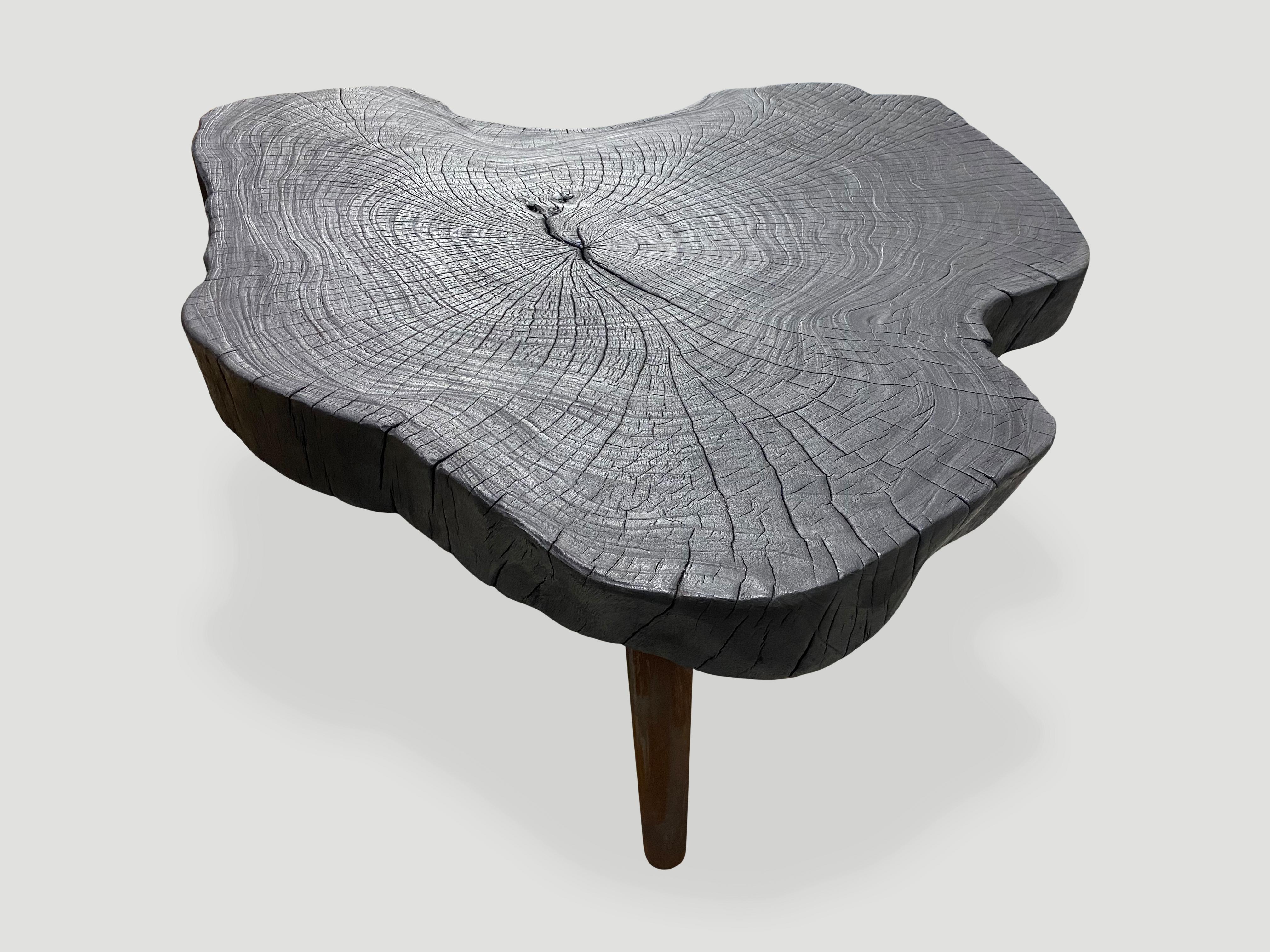 Andrianna Shamaris Amorphous Charred Coffee Table 2