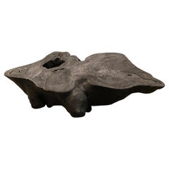 Andrianna Shamaris Amorphous Charred Coffee Table