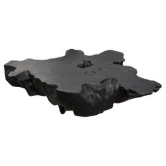 Andrianna Shamaris Amorphous Charred Coffee Table