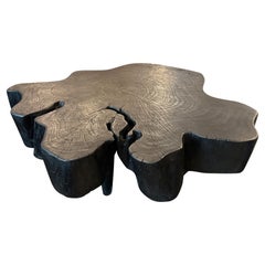 Andrianna Shamaris Amorphous Charred Coffee Table
