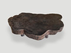 Andrianna Shamaris Amorphous Charred Coffee Table