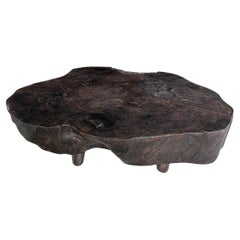 Andrianna Shamaris Amorphous Charred Coffee Table
