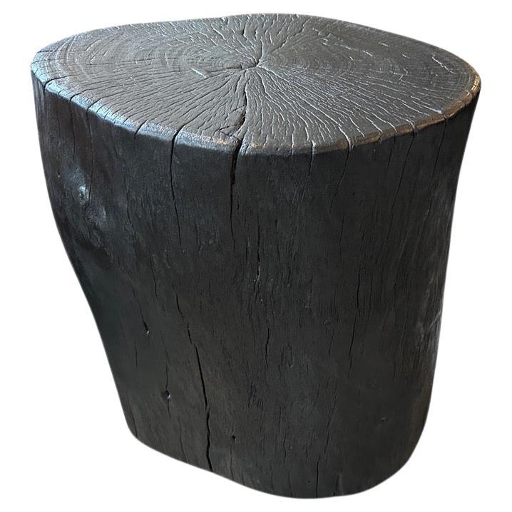 Andrianna Shamaris Amorphous Charred Lychee Wood Side Table For Sale