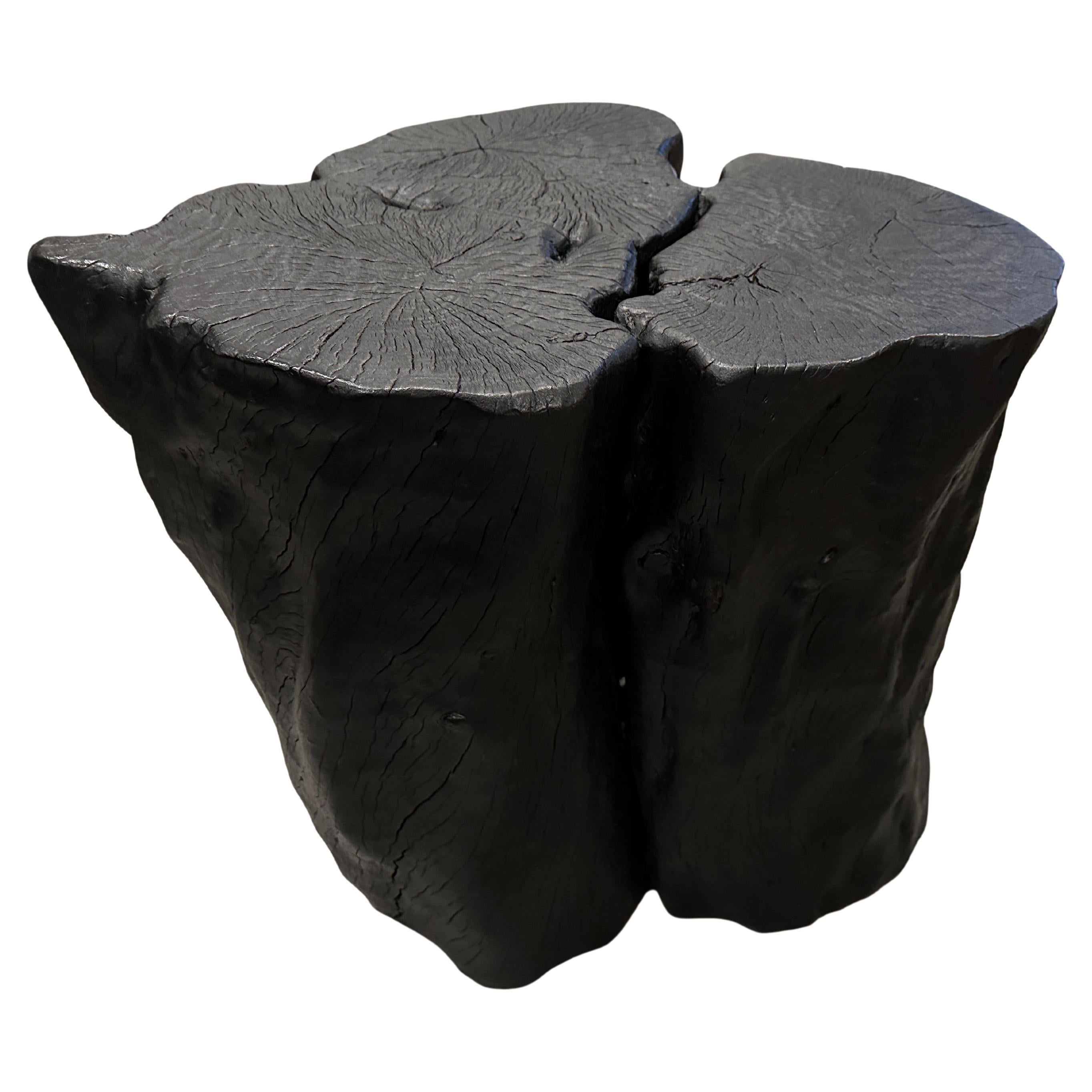 Andrianna Shamaris Amorphous Charred Lychee Wood Side Table