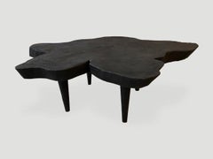 Andrianna Shamaris Amorphous Charred Mango Wood Coffee Table
