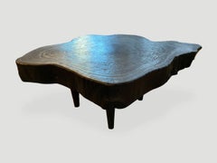 Andrianna Shamaris Amorphous Charred Mango Wood Coffee Table