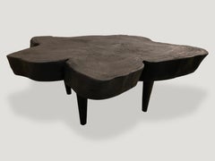 Andrianna Shamaris Amorphous Charred Mango Wood Coffee Table