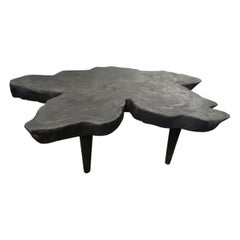 Andrianna Shamaris Amorphous Charred Mango Wood Coffee Table