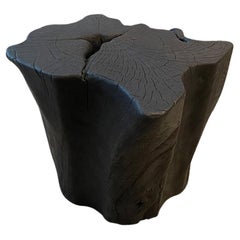 Andrianna Shamaris Amorphous Charred Side Table