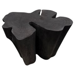 Andrianna Shamaris Amorphous Charred Side Table