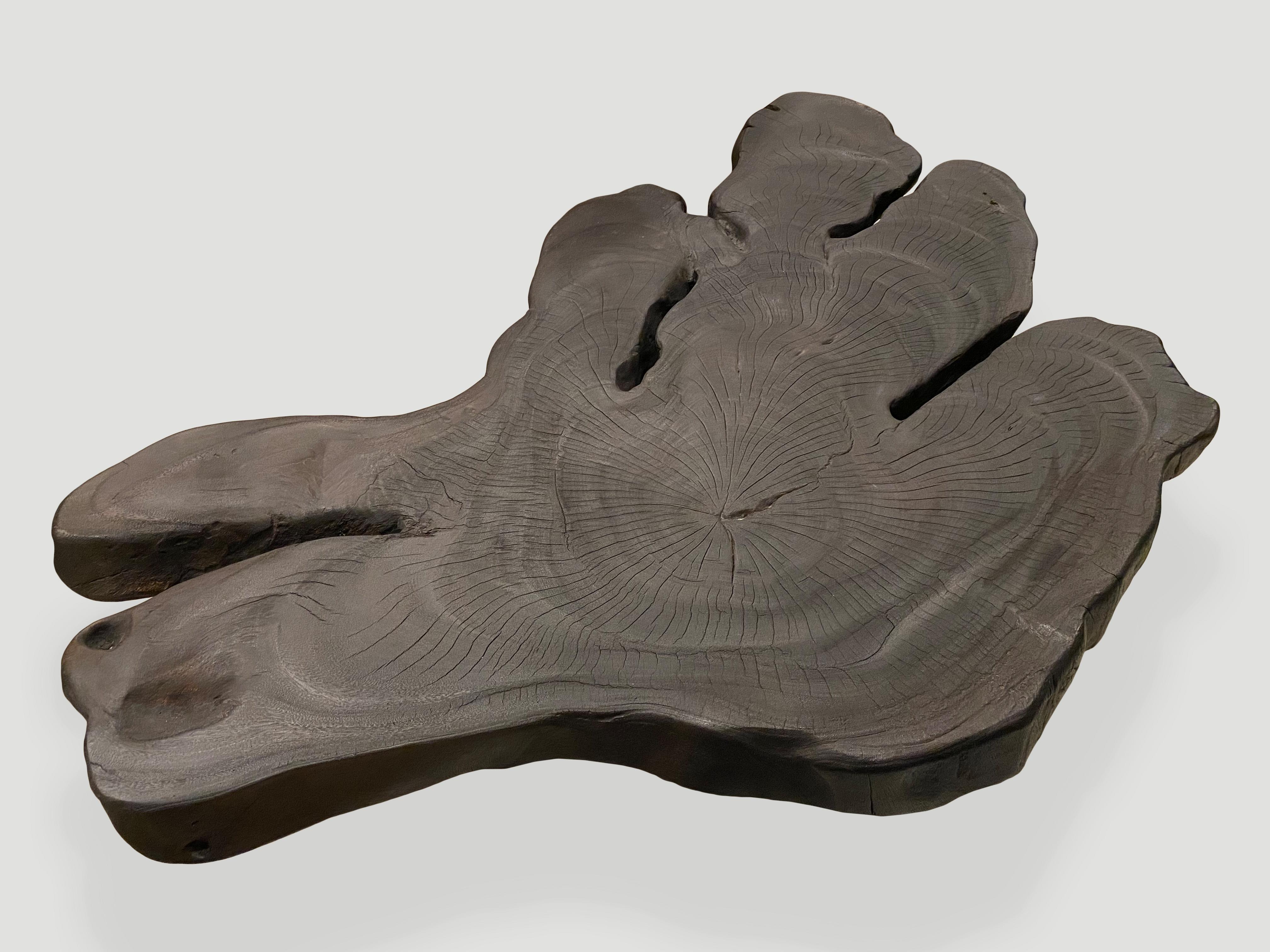 Andrianna Shamaris Amorphous Charred Suar Wood Coffee Table In Excellent Condition For Sale In New York, NY