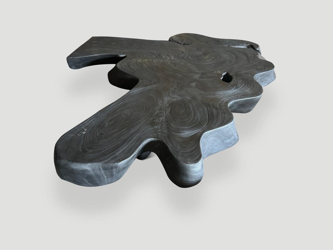 Andrianna Shamaris Amorphous Charred Suar Wood Coffee Table In Excellent Condition For Sale In New York, NY