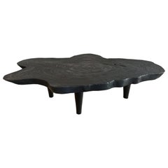 Andrianna Shamaris Amorphous Charred Suar Wood Coffee Table