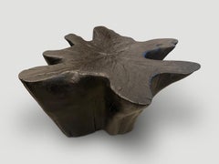 Andrianna Shamaris Amorphous Charred Teak Wood Coffee Table