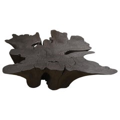 Andrianna Shamaris Amorphous Charred Teak Wood Coffee Table