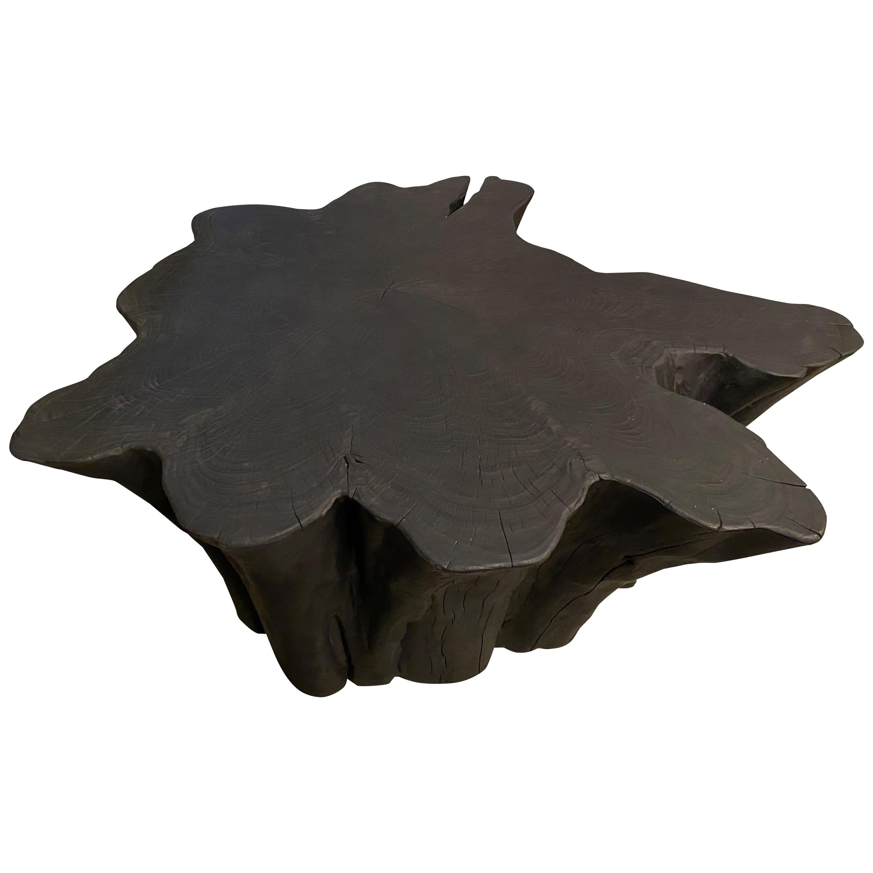 Andrianna Shamaris Amorphous Charred Teak Wood Coffee Table