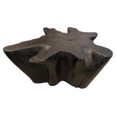 Andrianna Shamaris Amorphous Charred Teak Wood Coffee Table