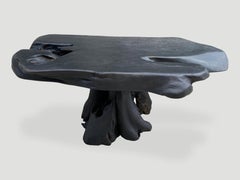 Andrianna Shamaris Amorphous Charred Teak Wood Organic Coffee Table