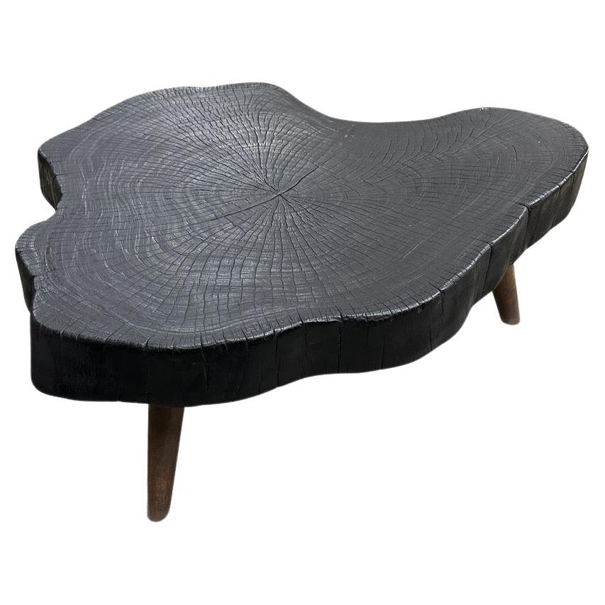 Andrianna Shamaris Amorphous Charred Wood Coffee Table For Sale at 1stDibs