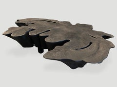 Andrianna Shamaris Amorphous Charred Coffee Table