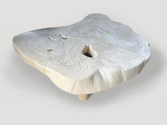 Andrianna Shamaris Amorphous Mid Century Style Bleached Coffee Table