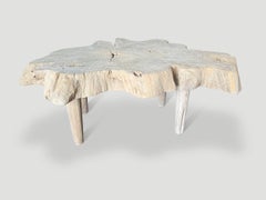 Andrianna Shamaris Bleached Teak Wood Coffee Table, Mid Century Style