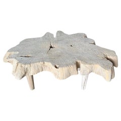 Andrianna Shamaris Amorphous Mid Century Style Bleached Coffee Table