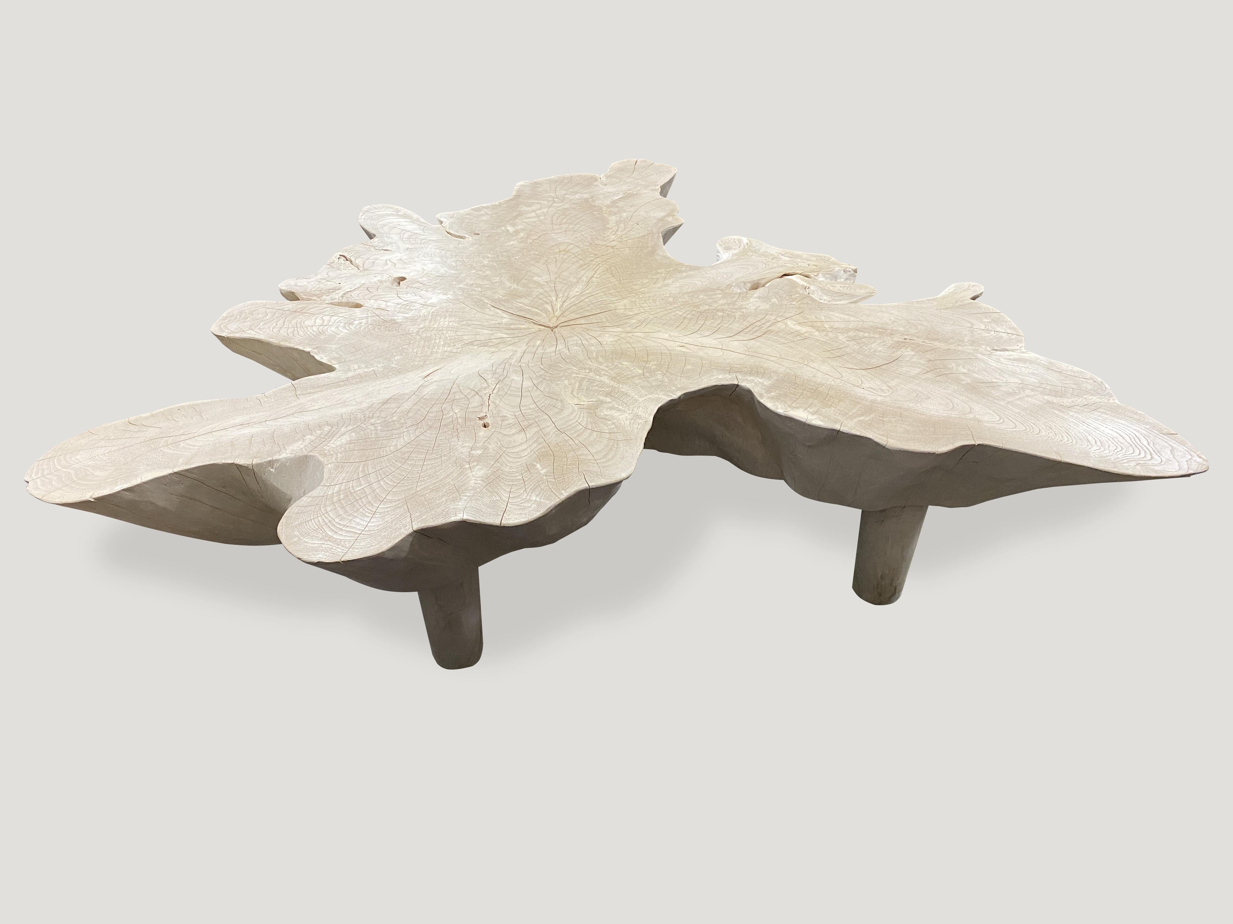 Mid-Century Modern Andrianna Shamaris Amorphous Mid Century Style Bleached Teak Wood Coffee Table For Sale