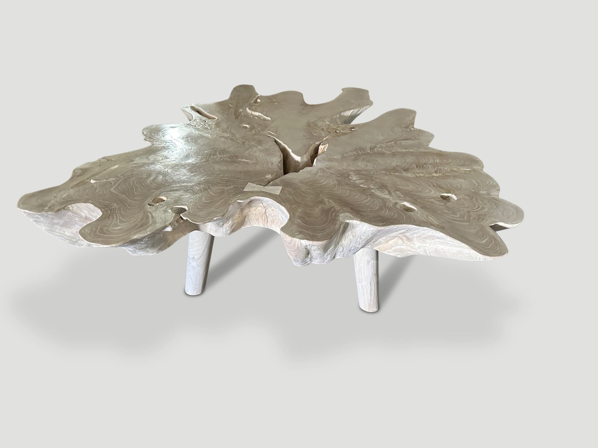 Andrianna Shamaris Amorphous Mid Century Style Bleached Teak Wood Coffee Table In Excellent Condition For Sale In New York, NY