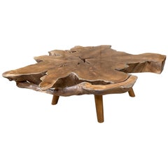 Andrianna Shamaris Amorphous Mid Century Style Teak Root Coffee Table