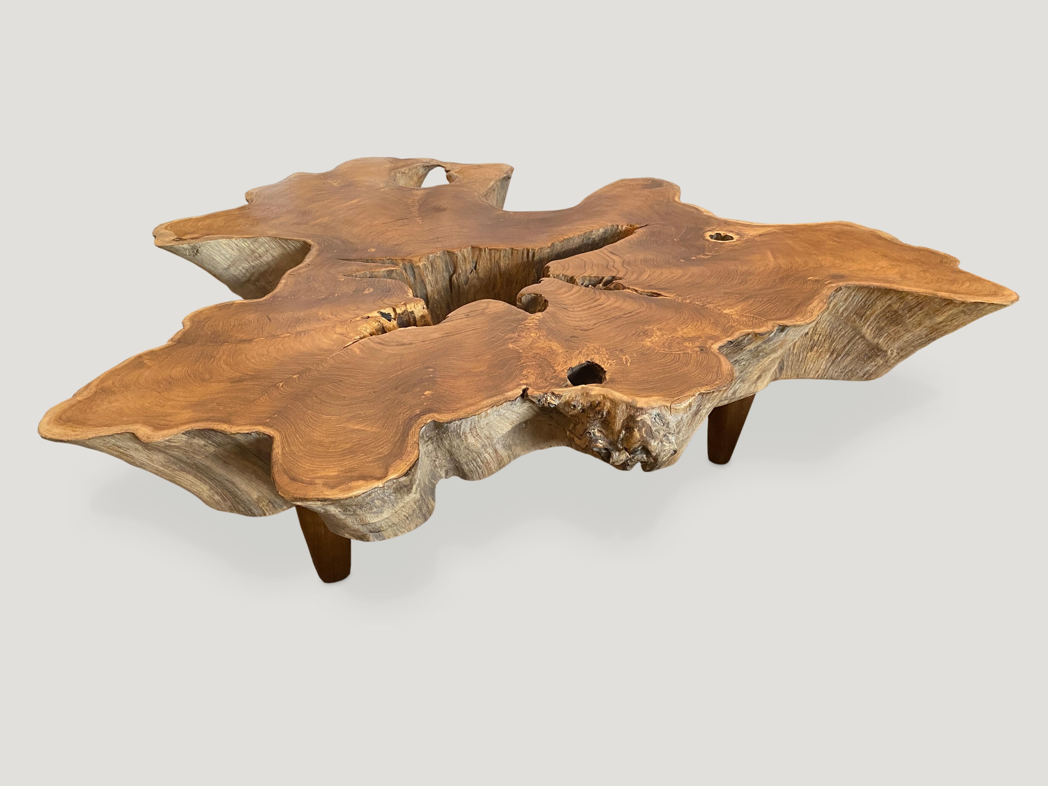 Impressive reclaimed six inch thick teak root coffee table. The top is polished with a natural oil finish and the sides left raw. Floating on midcentury style cone shaped legs. Organic with a twist.

Andrianna Shamaris. The Leader In Modern