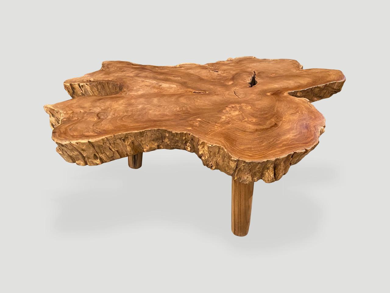 Impressive reclaimed three inch thick teak root coffee table. The top is polished with a natural oil finish and the sides left raw. Floating on mid century style cylinder legs. Organic with a twist.

Own an Andrianna Shamaris