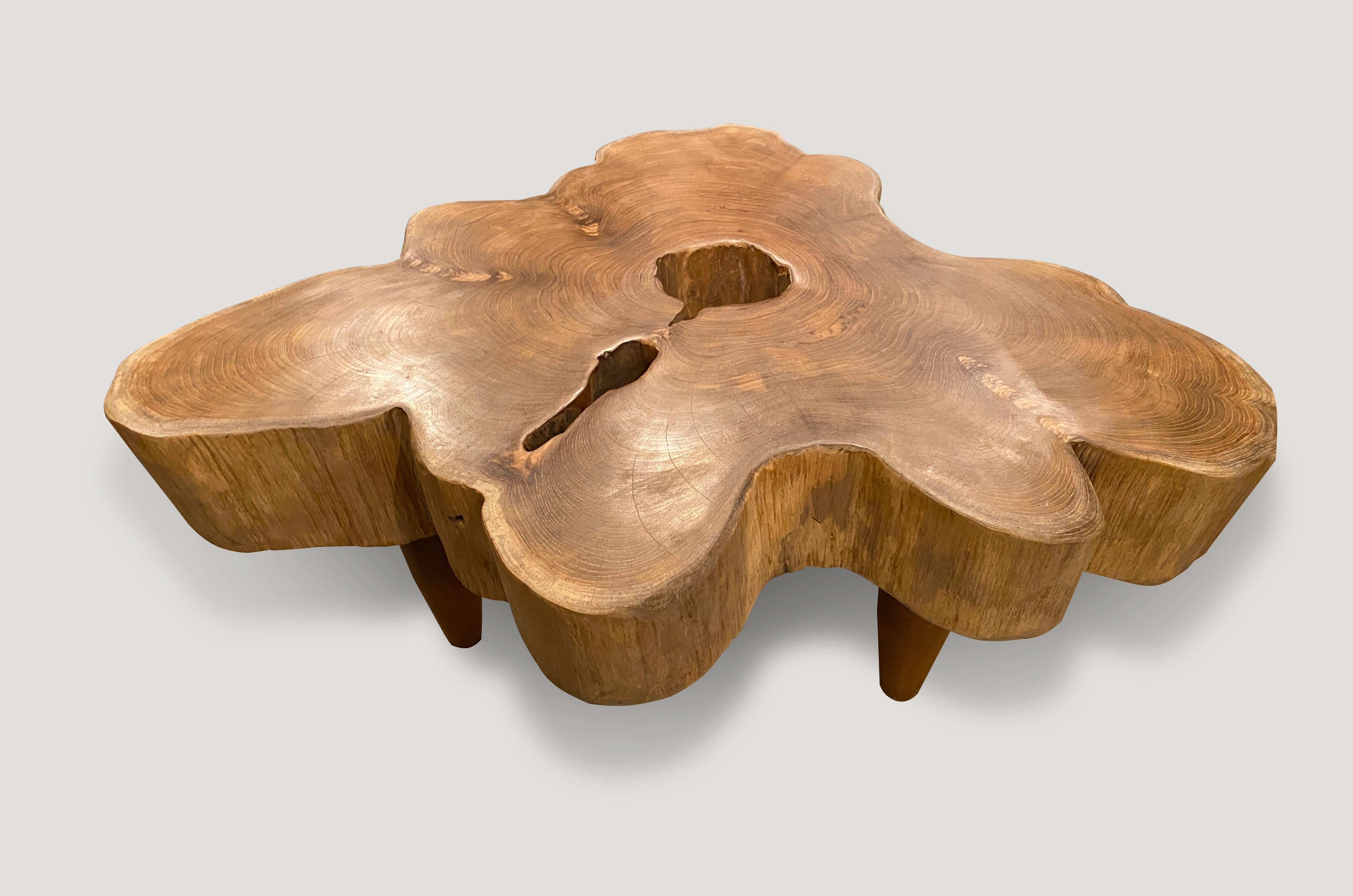 Organic Modern Andrianna Shamaris Amorphous Midcentury Style Teak Wood Coffee Table